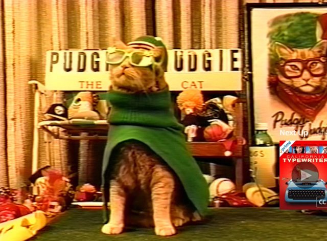 Frankie and the Wondercat - Pudgie Wudgie orange tabby cat in costume on Italian TV show