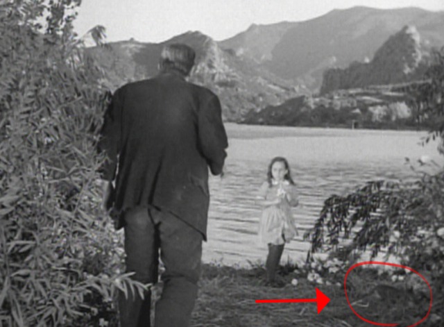 Frankenstein - tabby cat running away from little Maria as Frankenstein's monster approaches