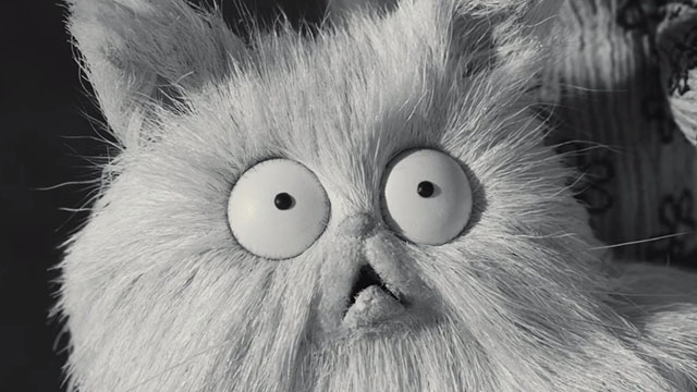 Frankenweenie - close up of white Persian cat Mr. Whiskers