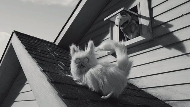 Frankenweenie - white Persian cat Mr. Whiskers sliding off roof with dog Sparky watching