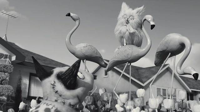 Frankenweenie - white Persian cat Mr. Whiskers sitting on plastic flamingo with dog Sparky below