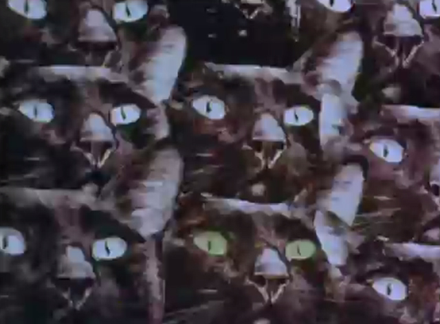 Frank Film - cat montage