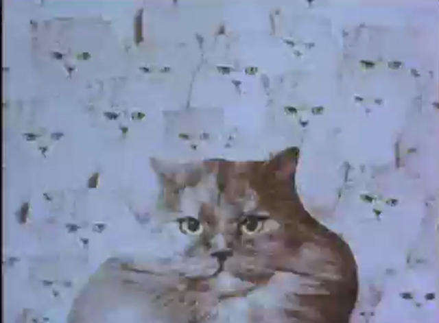 Frank Film - cat montage