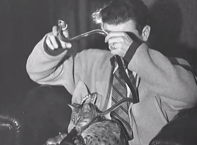 Franz Schmidt with Strange Pets - young man with tabby cat Felix, mouse named Mickey and pet snakes Roper on his lap