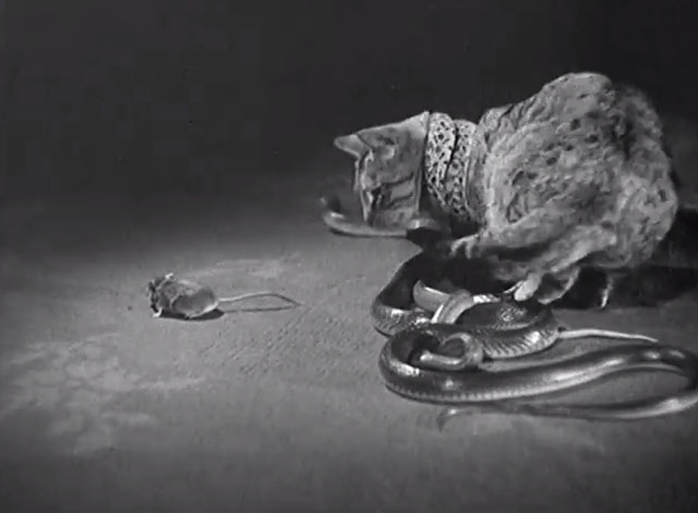 Franz Schmidt with Strange Pets - tabby cat Felix with numerous snakes one around his neck and mouse named Mickey