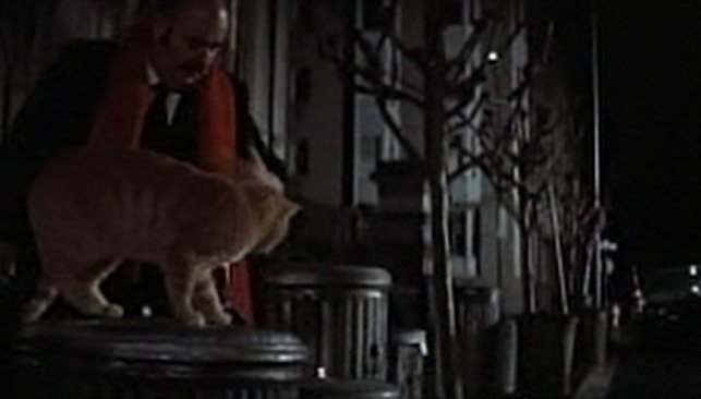 Freebie and the Bean - orange tom cat on garbage can as man brings can to curb