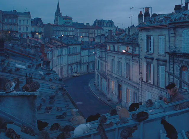 The French Dispatch - Herbsaint Sazerac Owen Wilson  putting out plate of food for huge amount of cats on rooftops