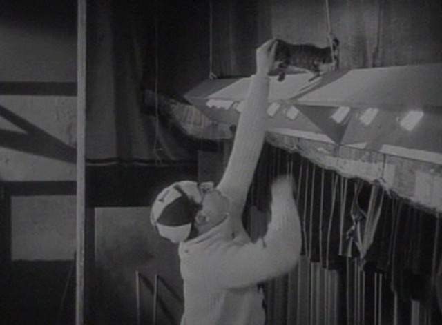 The Freshman - Harold saves the kitten from the ledge