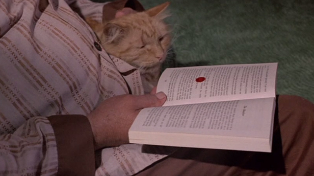 From Beyond the Grave - ginger tabby cat on bed beside book with red stain