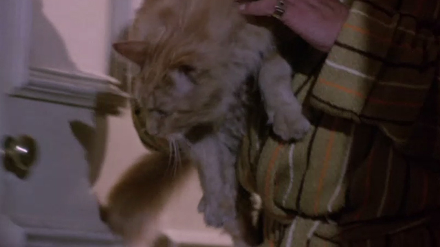 From Beyond the Grave - ginger tabby cat underneath arm entering apartment