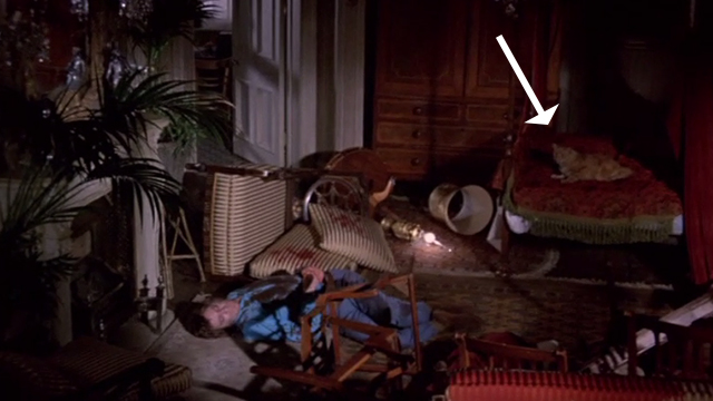 From Beyond the Grave - ginger tabby cat lying on bed amongst shambles and dead Edward David Warner