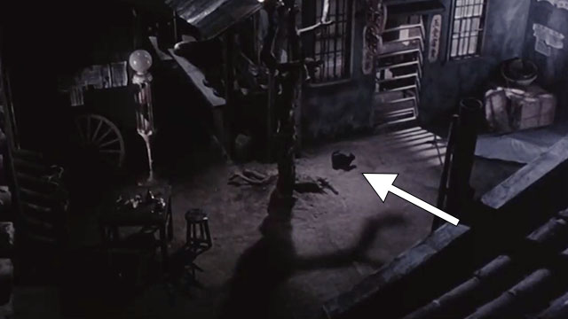 Fruits of Passion - black cat in courtyard outside brothel