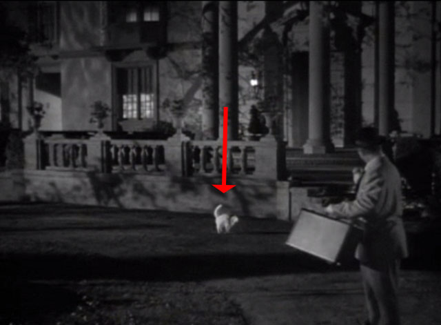 The Fuller Brush Man - white cat on lawn scaring Red Skelton