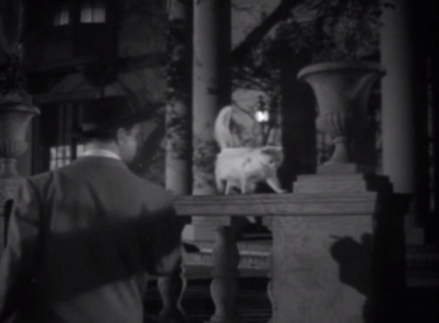 The Fuller Brush Man - white cat on railing with Red Skelton