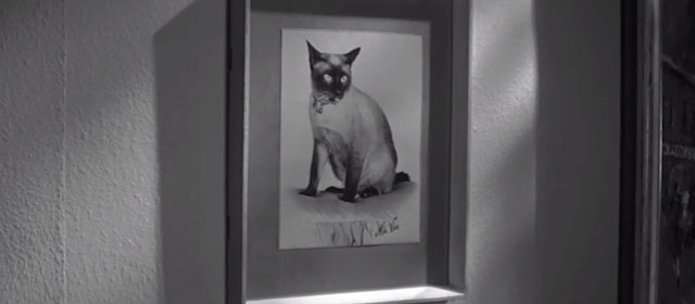 The Full Treatment - framed portrait on wall of Siamese cat Ma Vie George