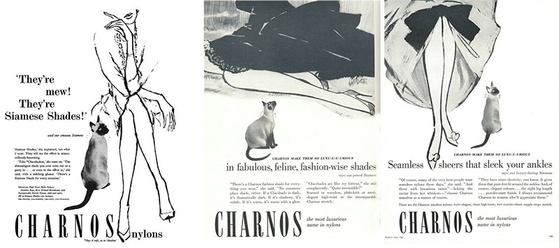 The Full Treatment - Siamese cat George appearing in ads for Charnos nylon stockings
