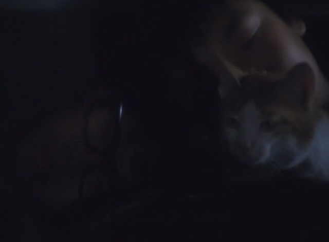 The Funeral - orange and white cat Kichi riding in car with kids