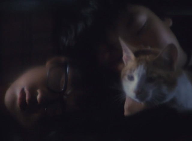 The Funeral - orange and white cat Kichi riding in car with kids