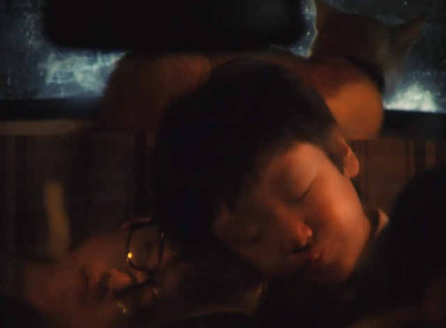 The Funeral - orange and white cat Kichi riding in back window of car behind sleeping kids