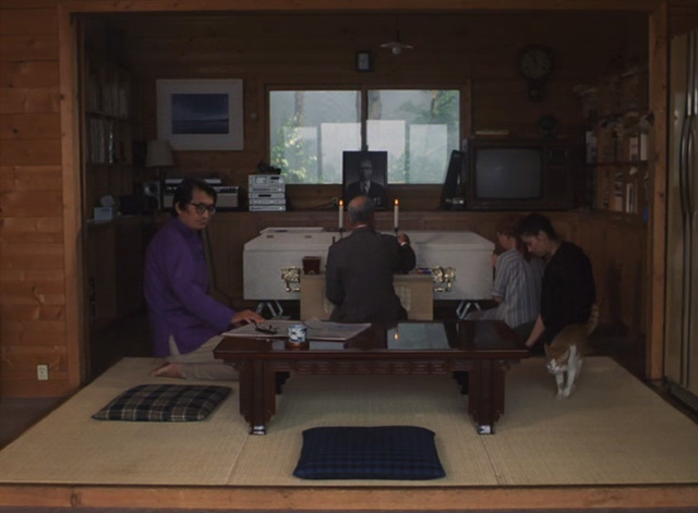 The Funeral - orange and white cat Kichi walking into room opposite casket