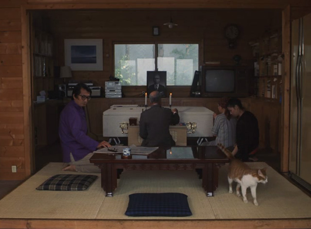 The Funeral - orange and white cat Kichi walking into room opposite casket