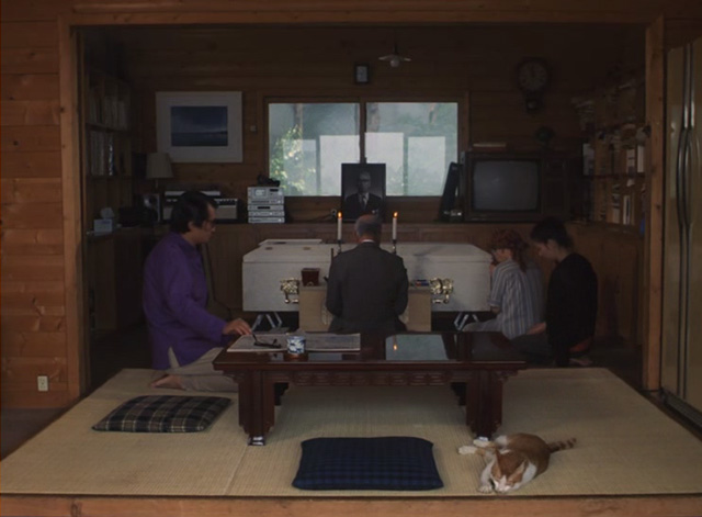 The Funeral - orange and white cat Kichi sniffing tatami mat in room opposite casket