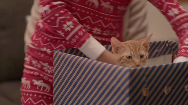 A Furry Little Christmas - ginger tabby kitten in box