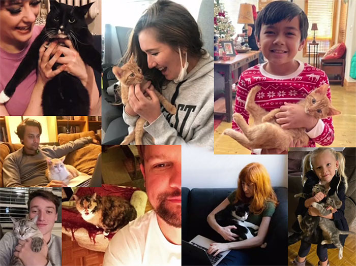 A Furry Little Christmas - montage of cast and crew with cats and kittens pets and actors