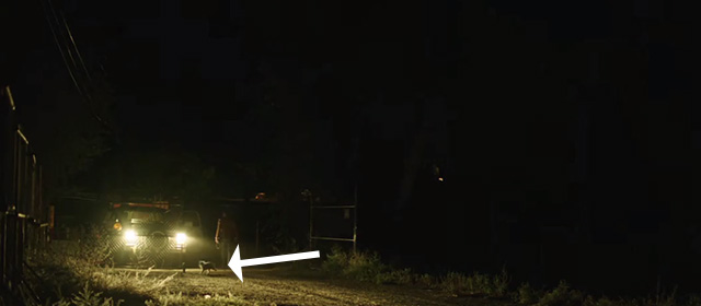 Furthest Witness - long-haired cat running in through open gate at night