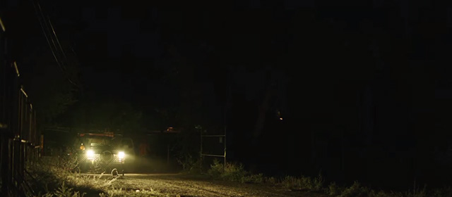 Furthest Witness - long-haired cat running in through open gate at night
