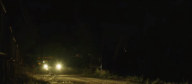 Furthest Witness - long-haired cat running in through open gate at night