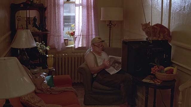 The Fury - orange tabby cat on tv set with Mr. Nuckells Gordon Jump