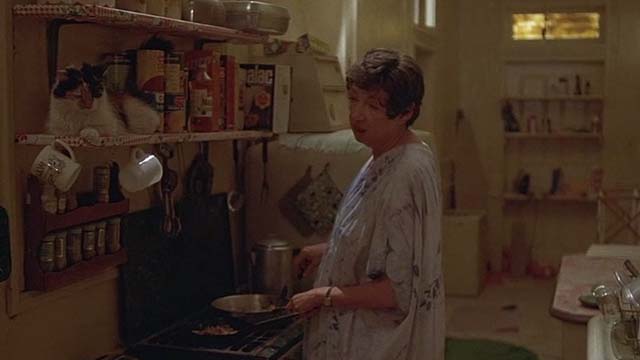 The Fury - calico Maine Coon cat on shelf in kitchen with Mrs. Nuckells Jane Lambert