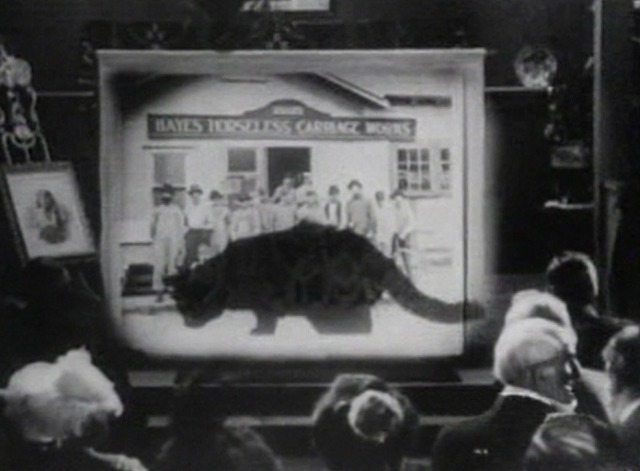 Gadgets Galore cat shadow