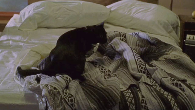 Game 6 - black cat on bed