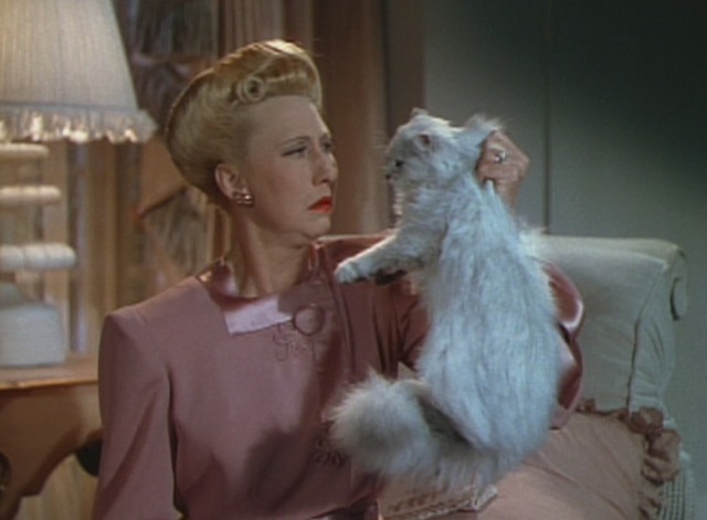 The Gang's All Here - Mrs. Potter looks at white Persian cat