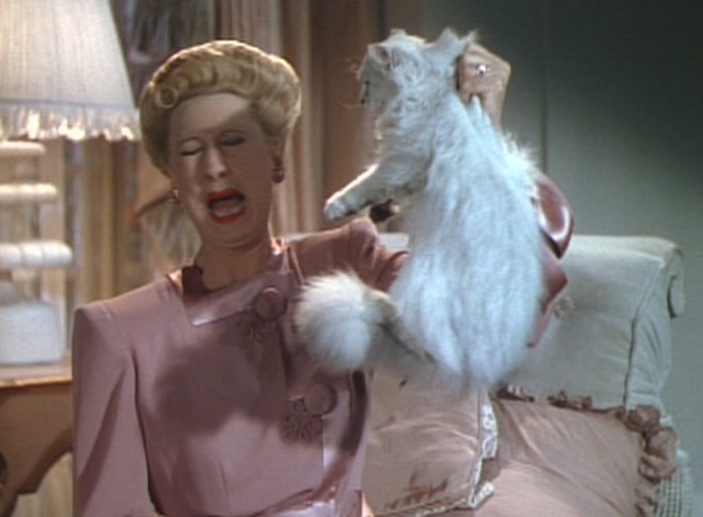 The Gang's All Here - Mrs. Potter screams while holding up white Persian cat