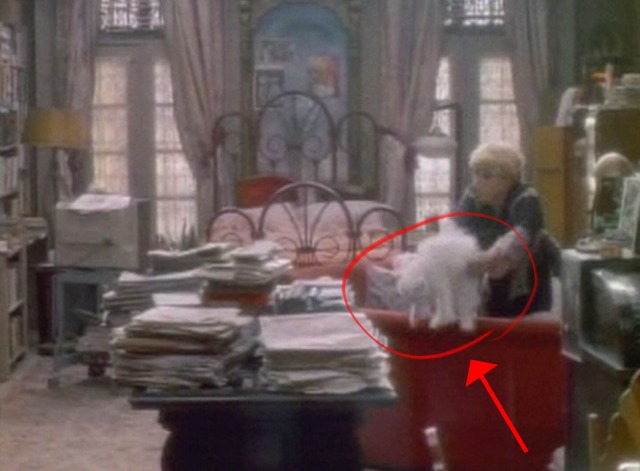 Garbo Talks - white Persian cat being dropped behind couch