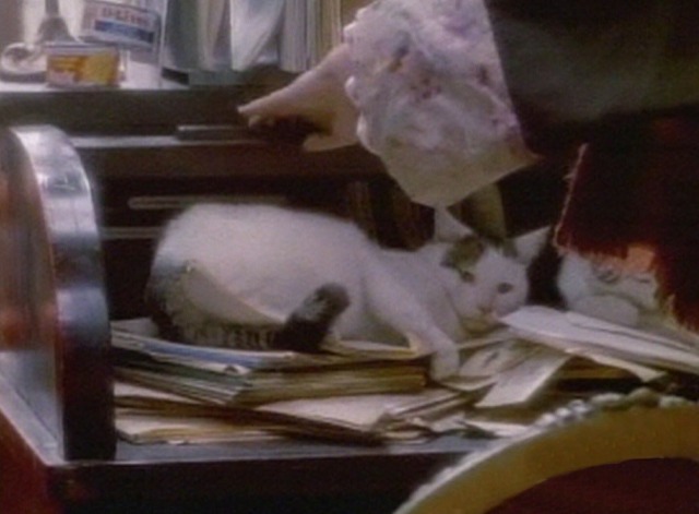 Garbo Talks - cats inside of roll top desk
