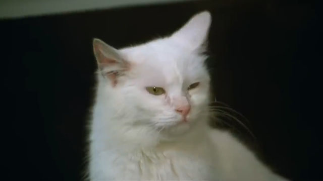 Gardenia il giustiziere della mala - white cat