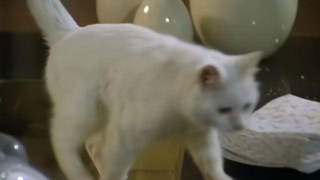 Gardenia il giustiziere della mala - white cat