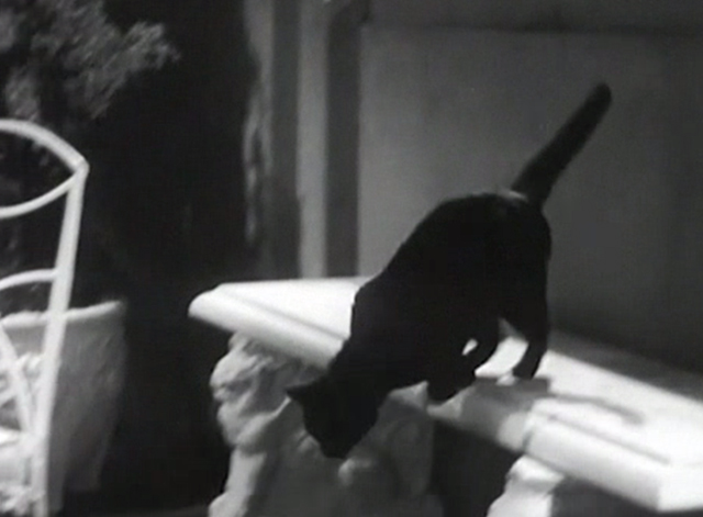 The Garden Murder Case - black cat jumping down from ledge