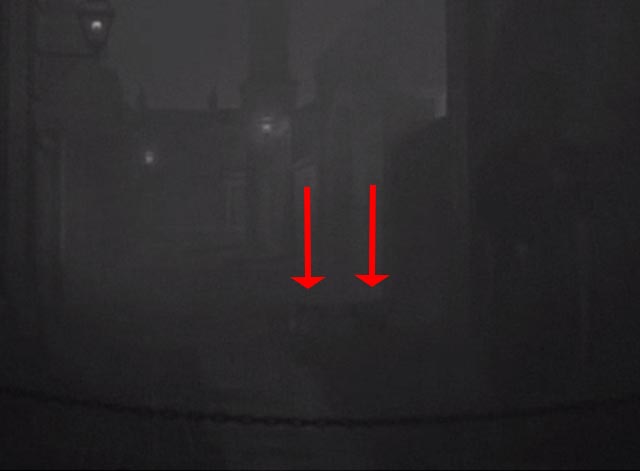 Gaslight - two cats barely visible in fog in alley
