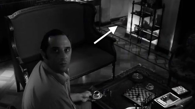 El gato cósmico al final - longhair Persian cat in hallway behind Derro Merlin