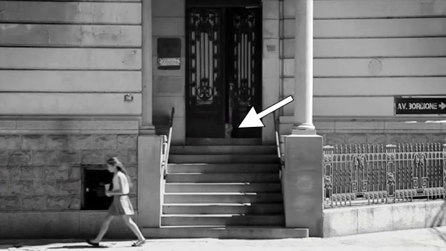 El gato cósmico al final - longhair Persian cat sitting in front doorway of house as girl walks away