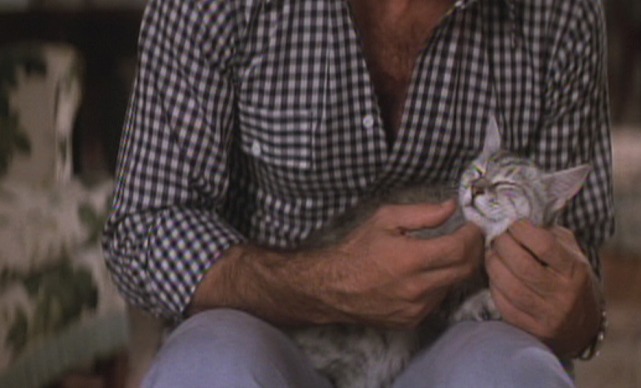 Gator - Gator with cat Silver Bell on lap