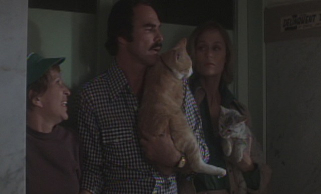 Gator - Gator, Aggie and Emmeline with Silver Bell and Red cats sneaking into building