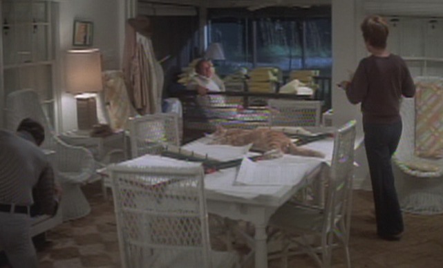 Gator - Red cat laying on table