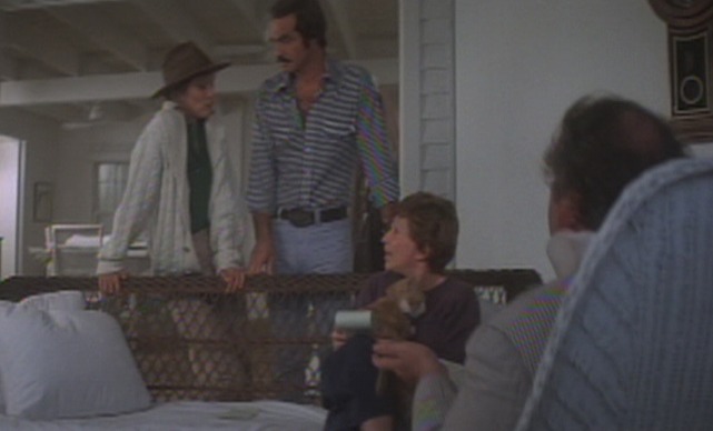 Gator - Red cat sitting on Emmeline's lap