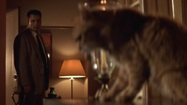The General's Daughter - long-haired ginger cat on table in foreground with Paul John Travolta in background